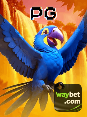 WAYBET bônus — cashback 15 por cento e níveis VIP