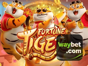 Guia install APK WAYBET BR