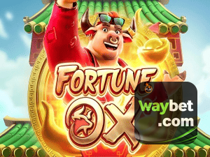 WAYBET login — painel de entrada no app oficial