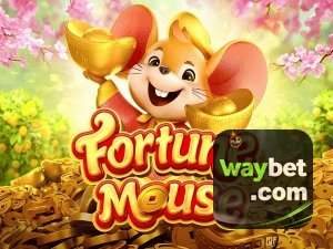 WAYBET login — configurações de segurança e proteção de conta
